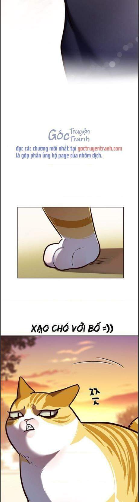 Hoá Thân Thành Mèo Chap 161 - Next Chap 162