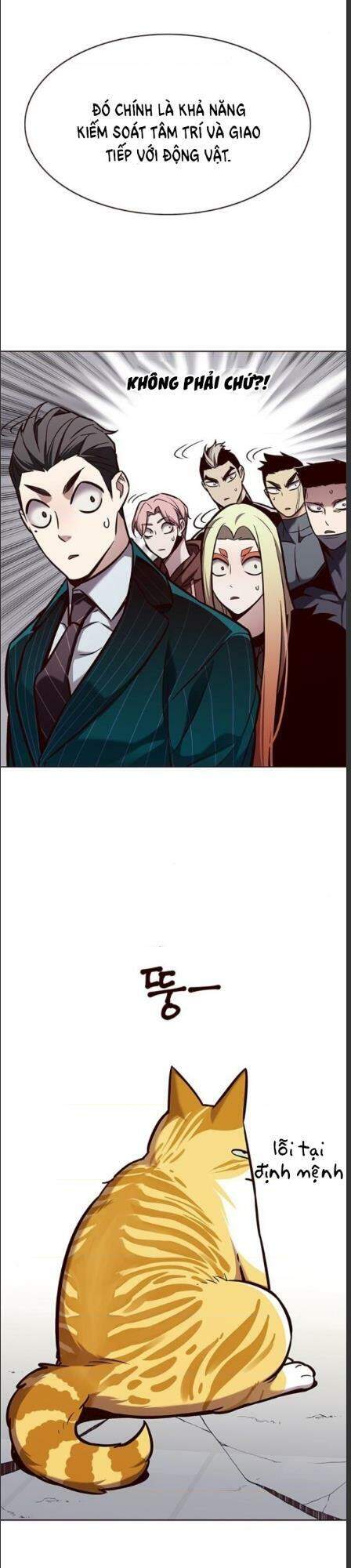Hoá Thân Thành Mèo Chap 162 - Next Chap 163