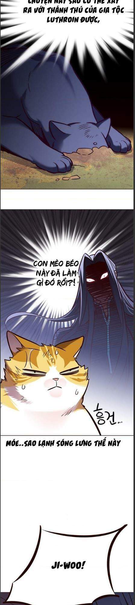 Hoá Thân Thành Mèo Chap 162 - Next Chap 163