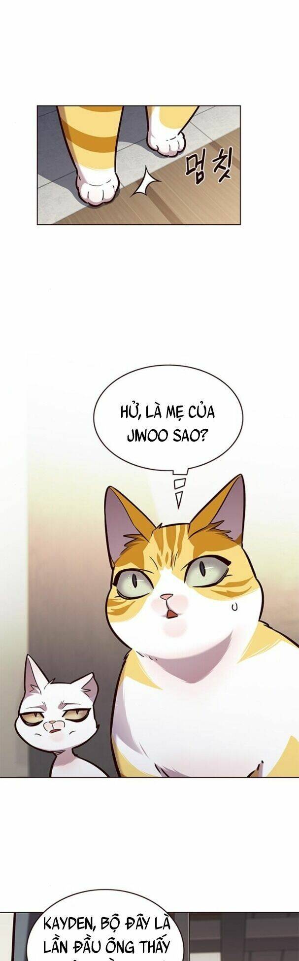 Hoá Thân Thành Mèo Chap 177 - Next Chap 178