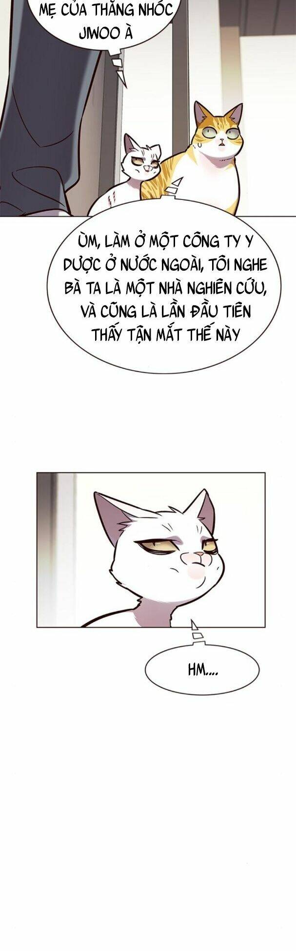 Hoá Thân Thành Mèo Chap 177 - Next Chap 178