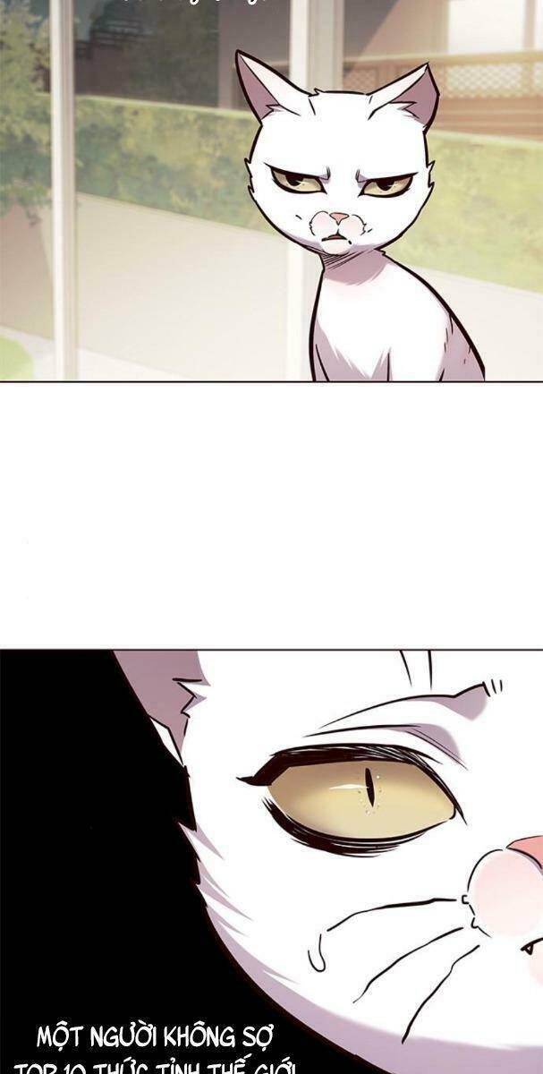Hoá Thân Thành Mèo Chap 177 - Next Chap 178