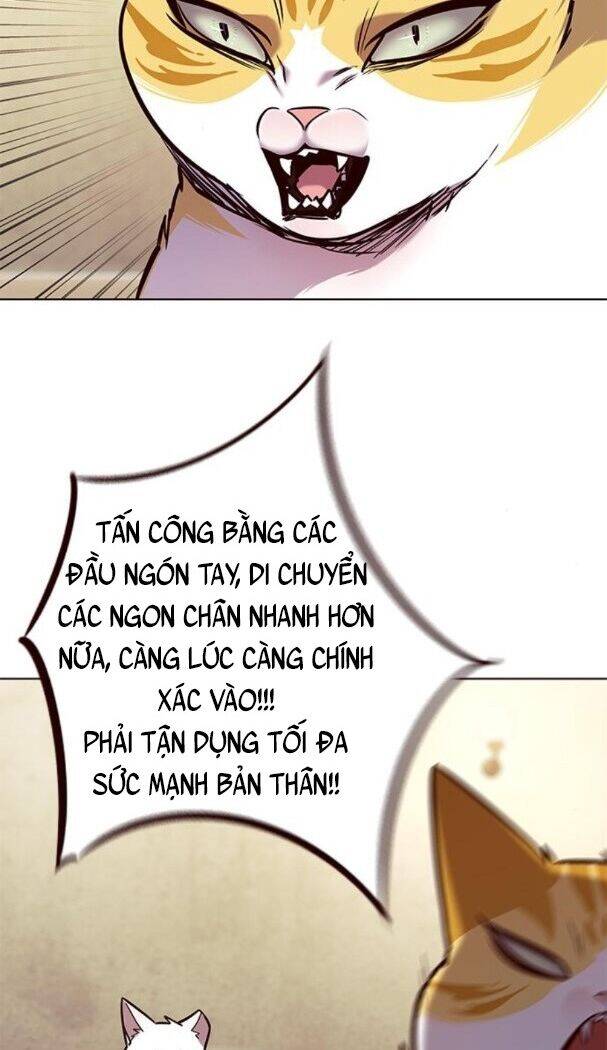 Hoá Thân Thành Mèo Chap 174 - Next Chap 175