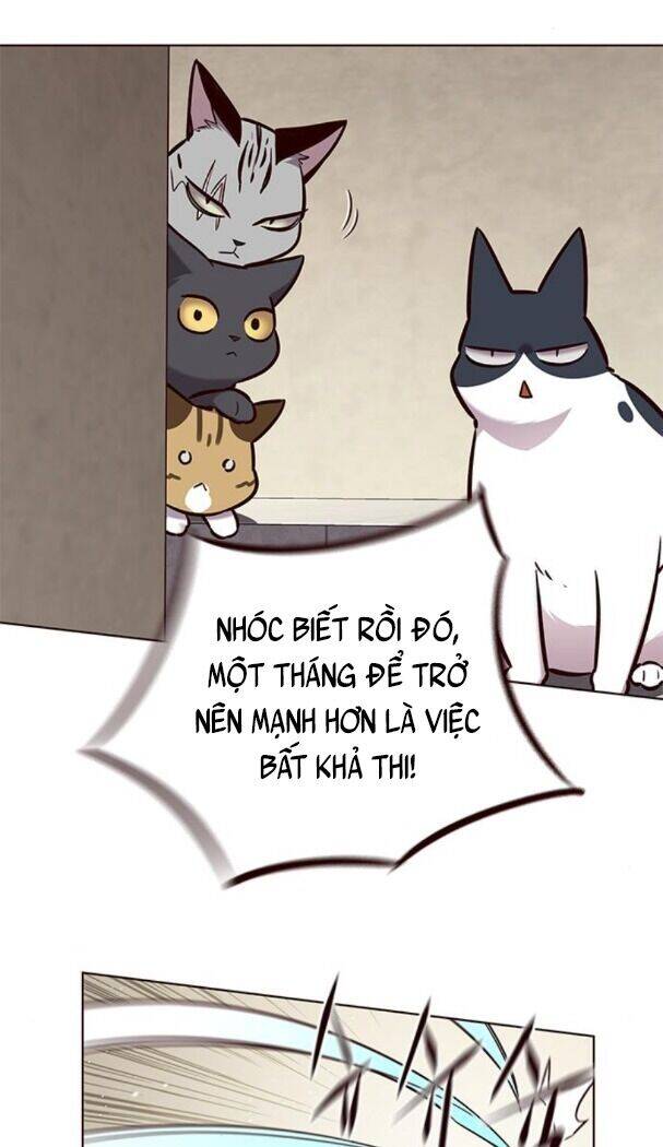 Hoá Thân Thành Mèo Chap 174 - Next Chap 175