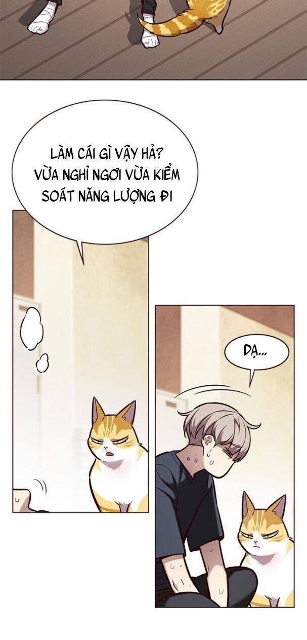 Hoá Thân Thành Mèo Chap 174 - Next Chap 175
