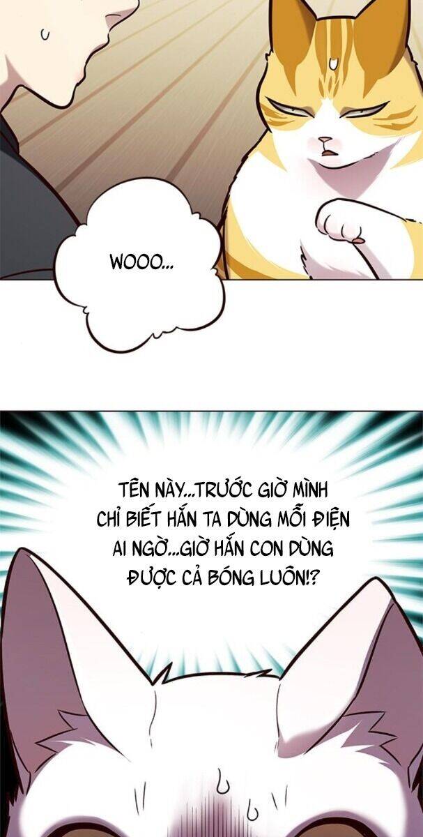 Hoá Thân Thành Mèo Chap 174 - Next Chap 175
