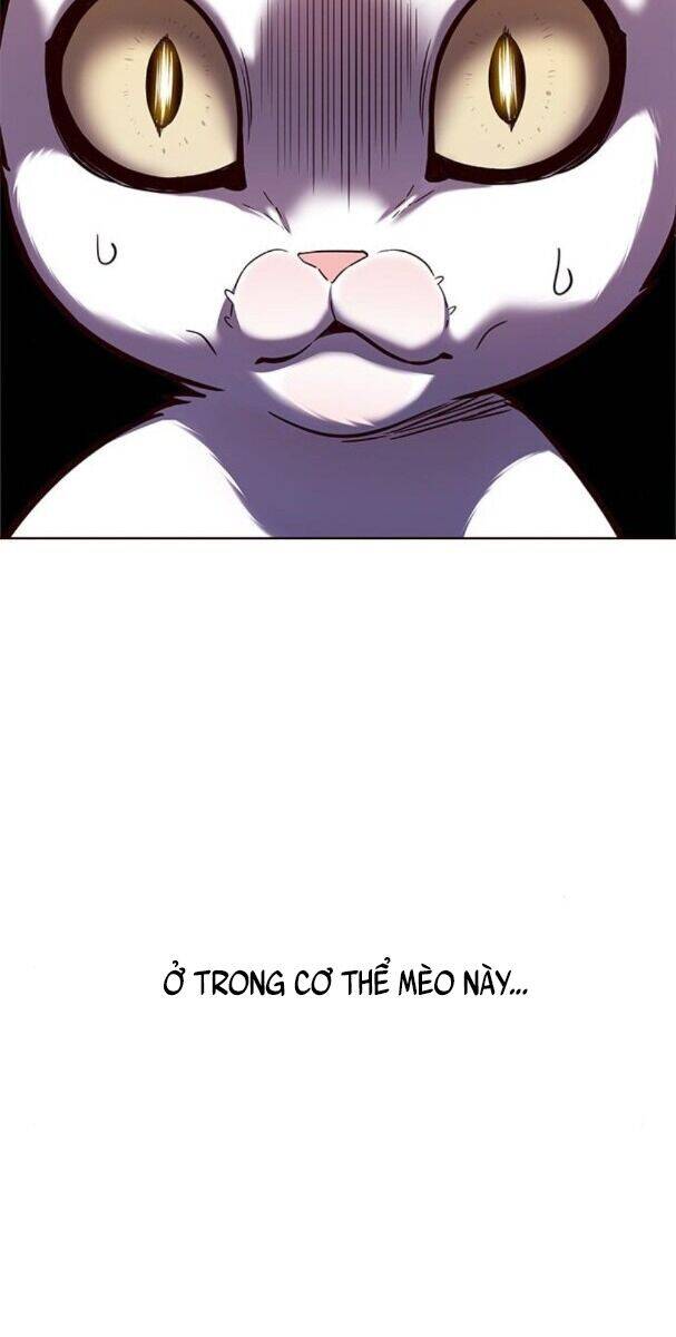 Hoá Thân Thành Mèo Chap 174 - Next Chap 175