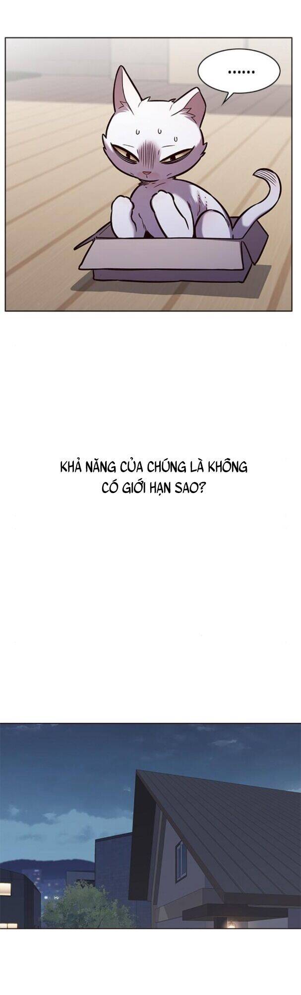 Hoá Thân Thành Mèo Chap 174 - Next Chap 175