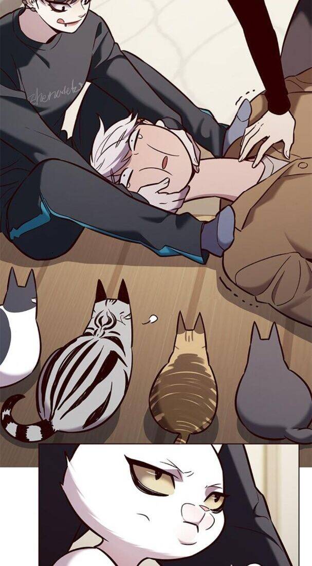 Hoá Thân Thành Mèo Chap 178 - Next Chap 179