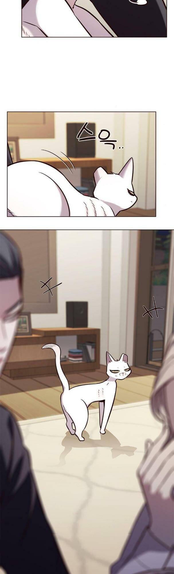 Hoá Thân Thành Mèo Chap 178 - Next Chap 179