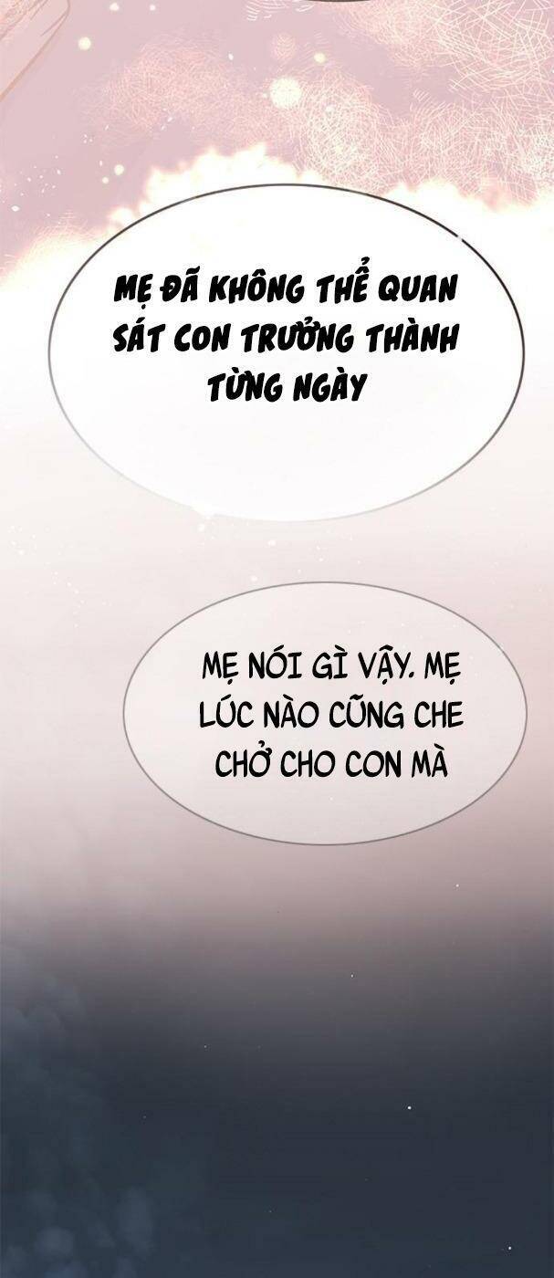 Hoá Thân Thành Mèo Chap 178 - Next Chap 179