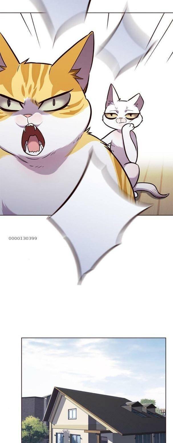 Hoá Thân Thành Mèo Chap 179 - Next Chap 180