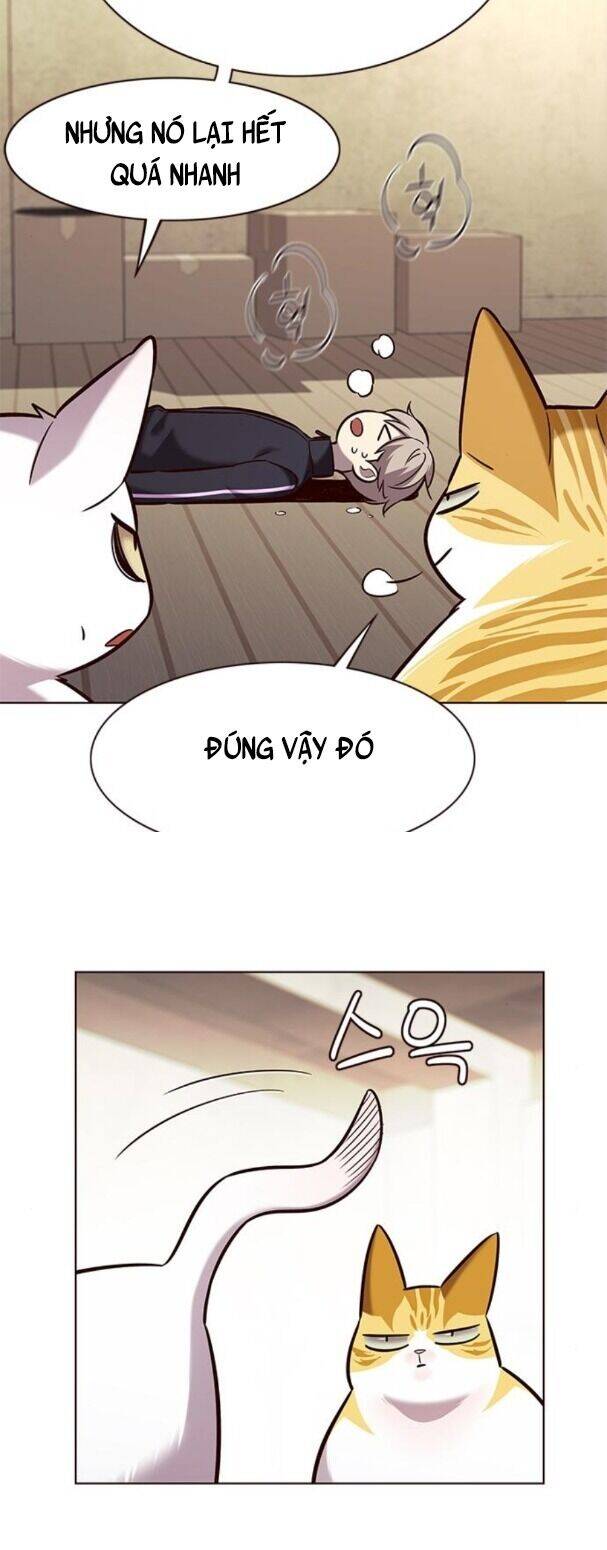 Hoá Thân Thành Mèo Chap 179 - Next Chap 180