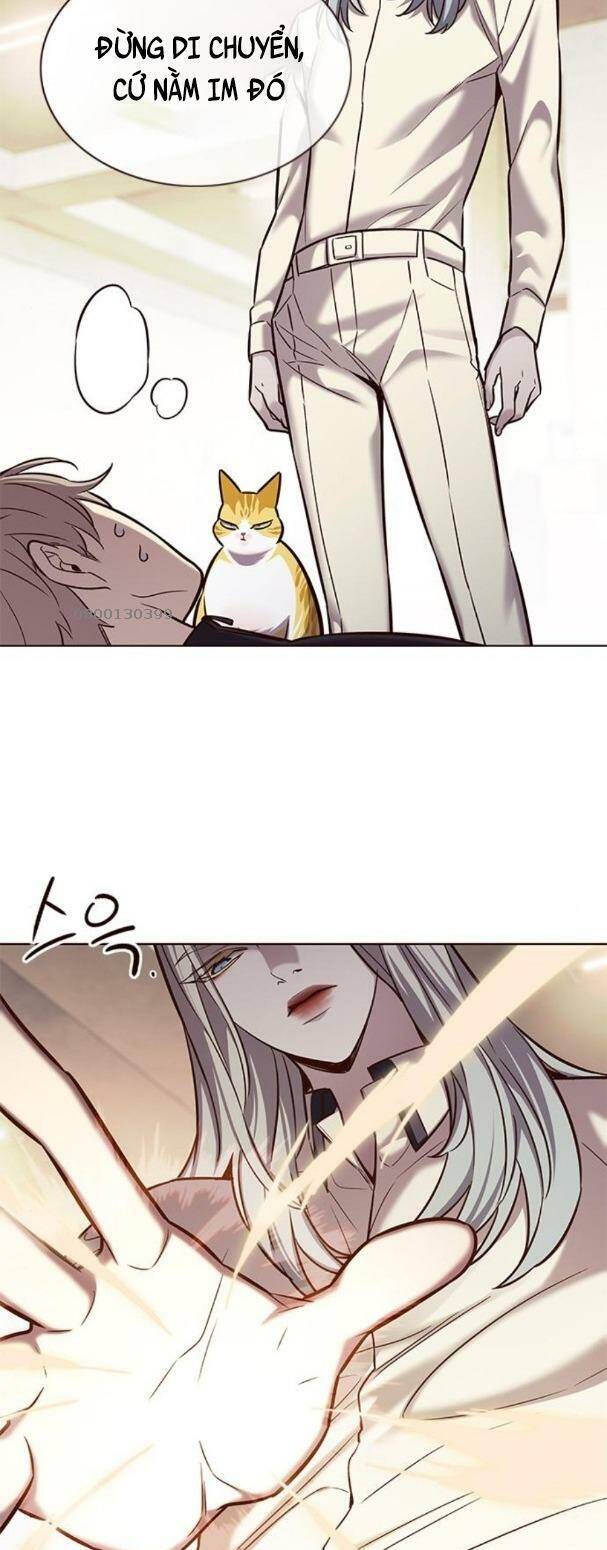 Hoá Thân Thành Mèo Chap 179 - Next Chap 180