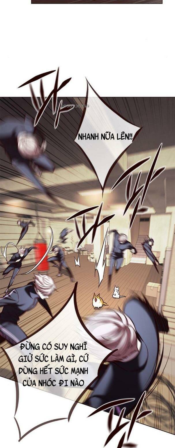 Hoá Thân Thành Mèo Chap 179 - Next Chap 180