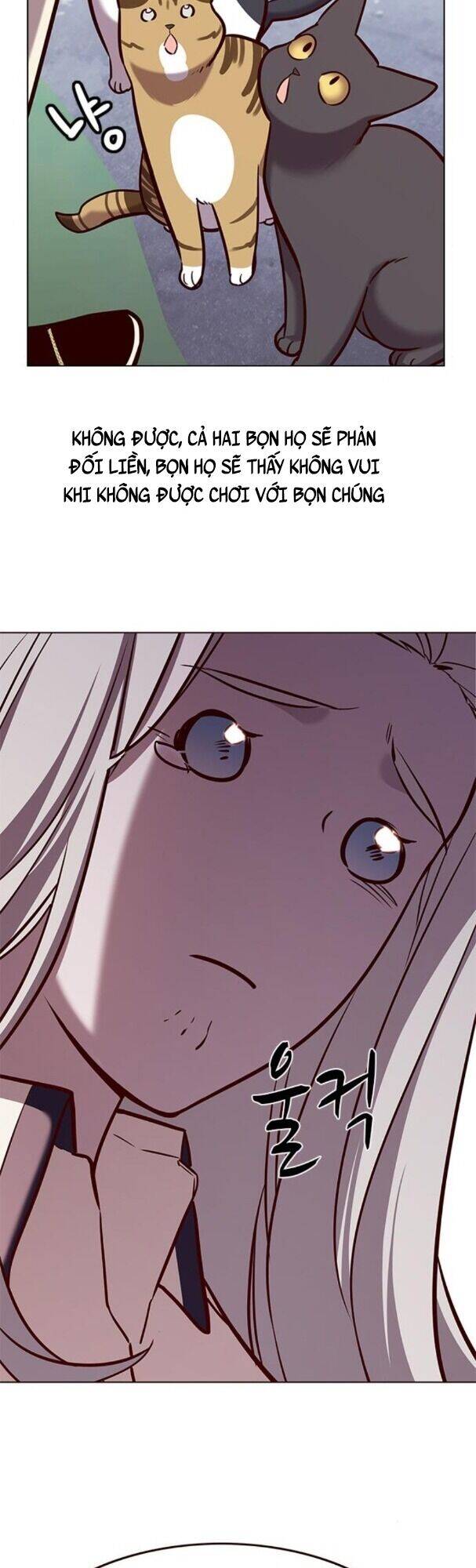 Hoá Thân Thành Mèo Chap 179 - Next Chap 180