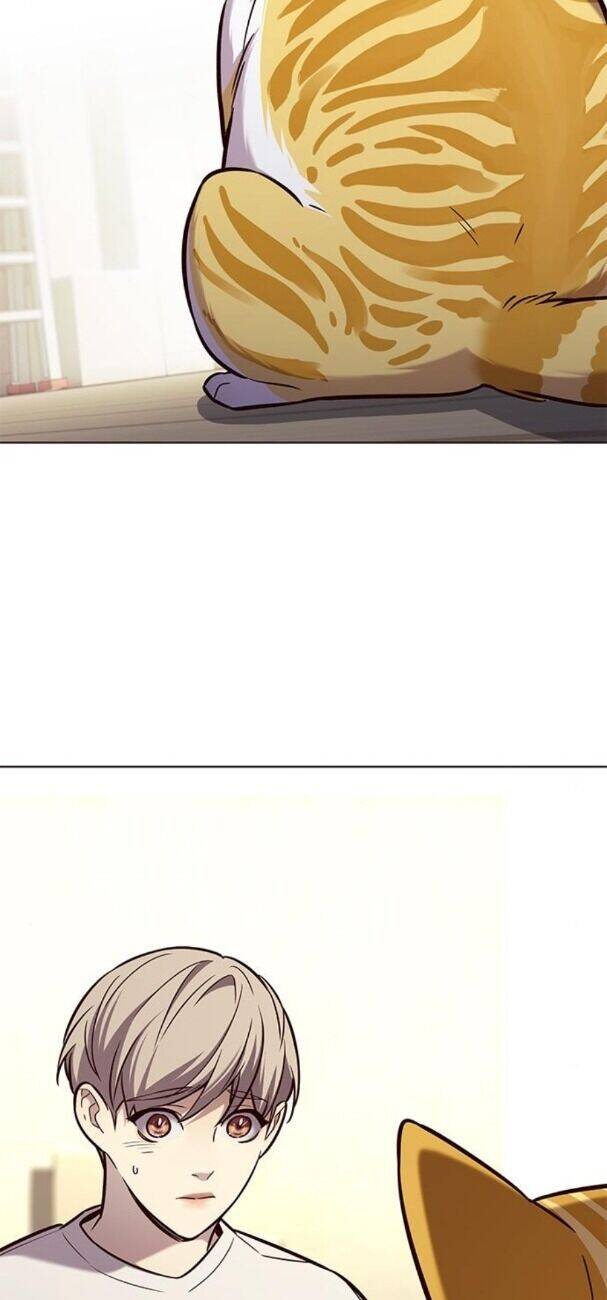 Hoá Thân Thành Mèo Chap 180 - Next Chap 181