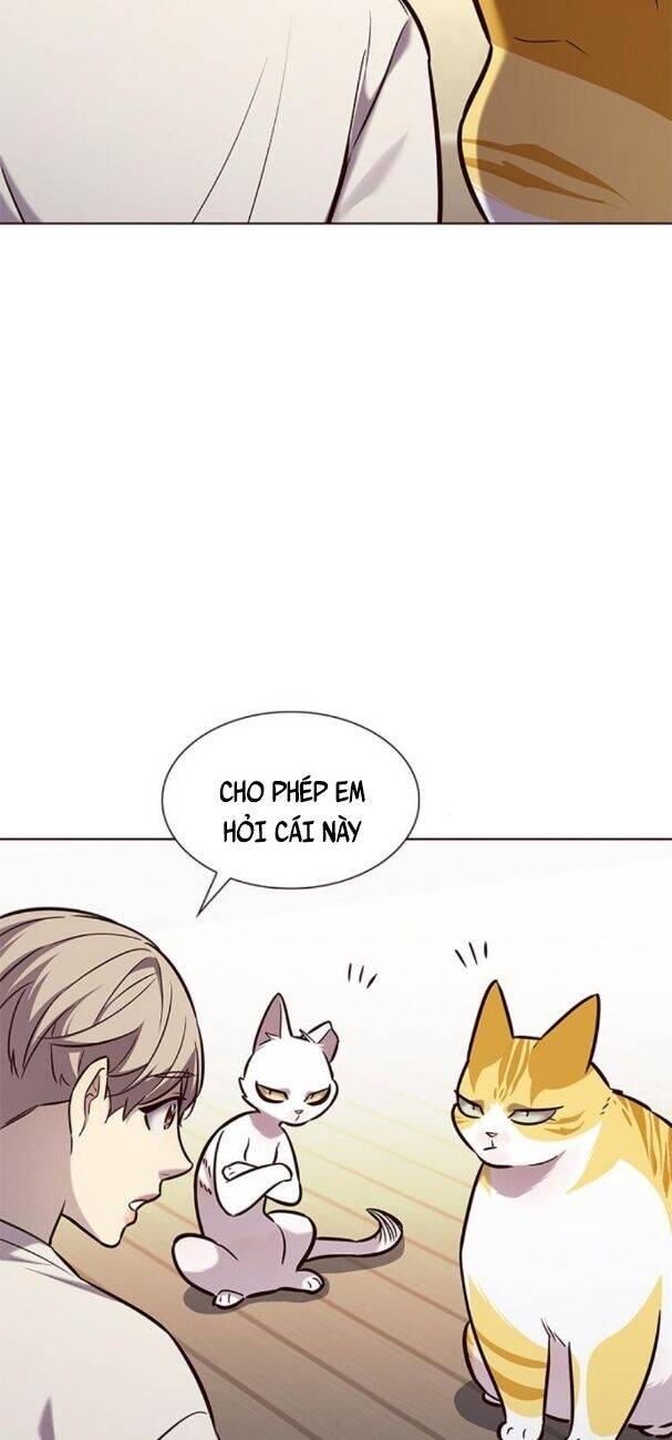 Hoá Thân Thành Mèo Chap 180 - Next Chap 181