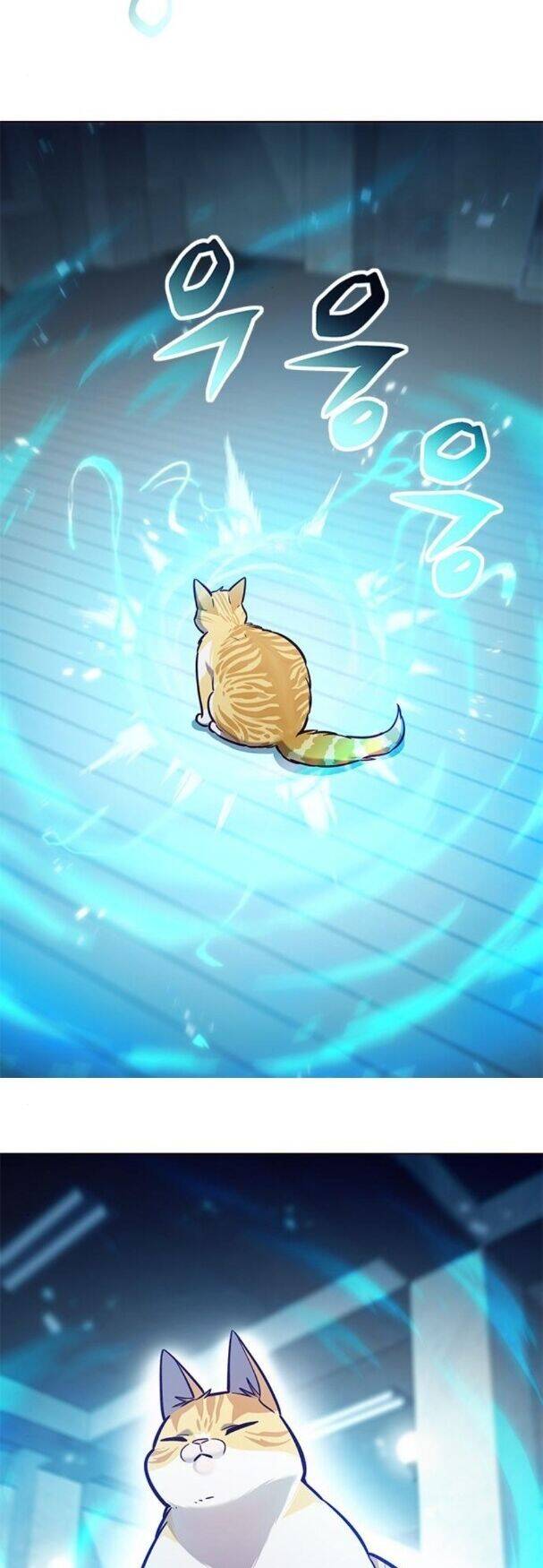 Hoá Thân Thành Mèo Chap 180 - Next Chap 181