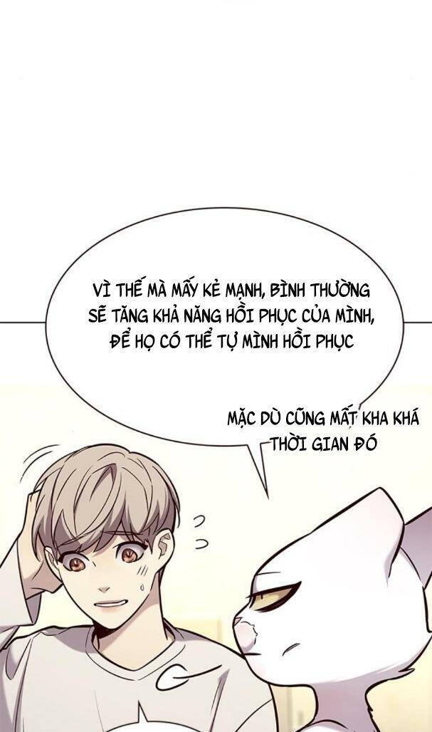 Hoá Thân Thành Mèo Chap 180 - Next Chap 181