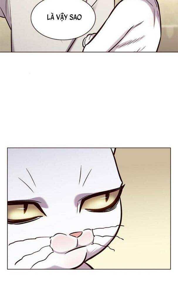 Hoá Thân Thành Mèo Chap 180 - Next Chap 181