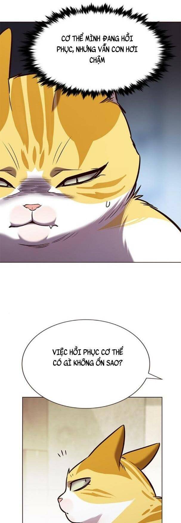 Hoá Thân Thành Mèo Chap 180 - Next Chap 181