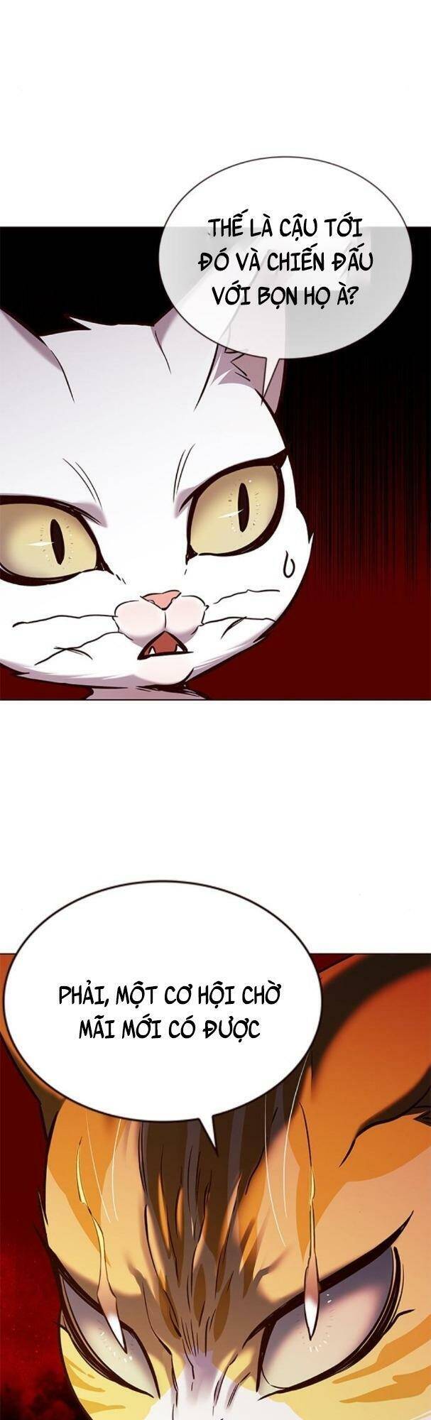Hoá Thân Thành Mèo Chap 180 - Next Chap 181
