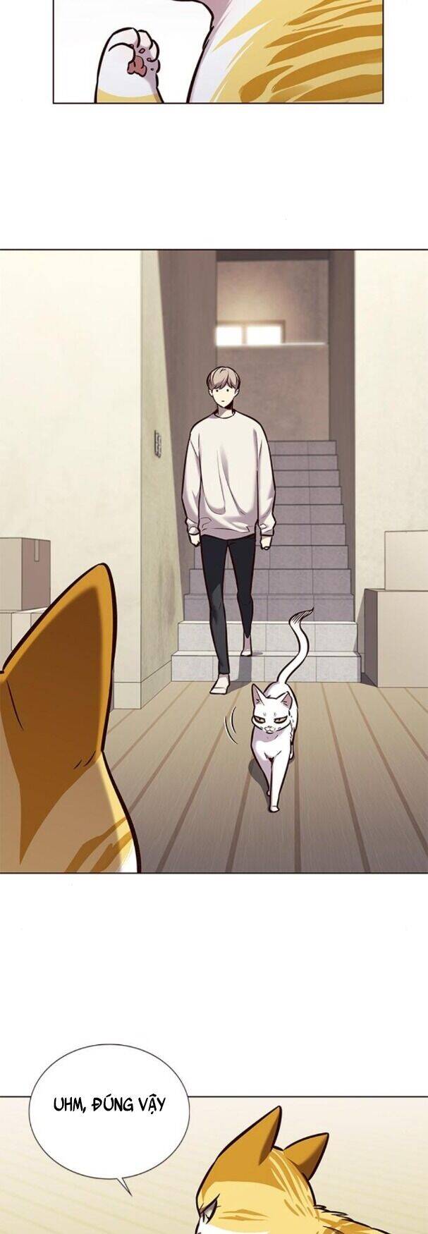 Hoá Thân Thành Mèo Chap 180 - Next Chap 181
