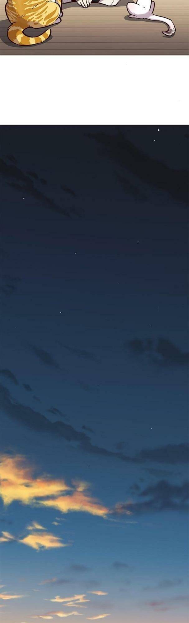 Hoá Thân Thành Mèo Chap 180 - Next Chap 181