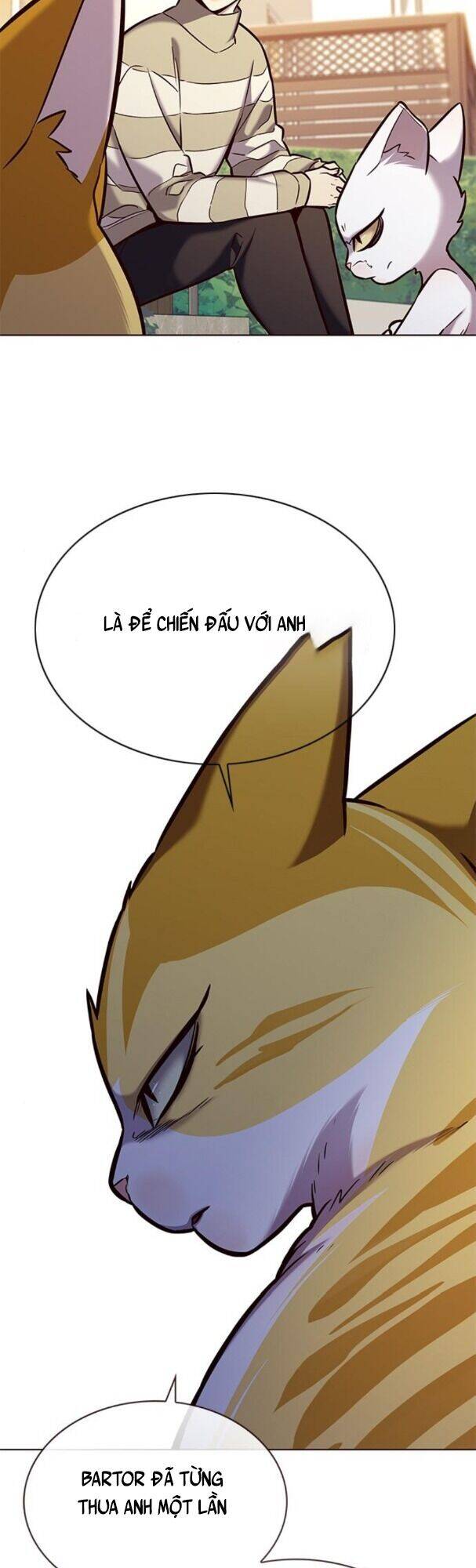 Hoá Thân Thành Mèo Chap 181 - Next Chap 182
