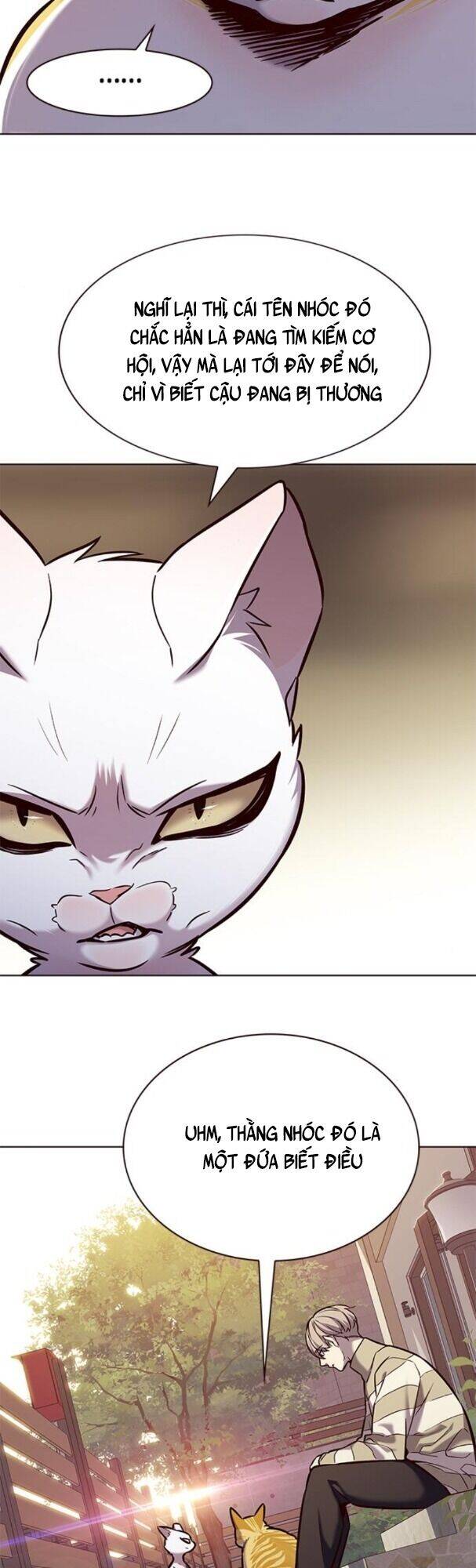 Hoá Thân Thành Mèo Chap 181 - Next Chap 182