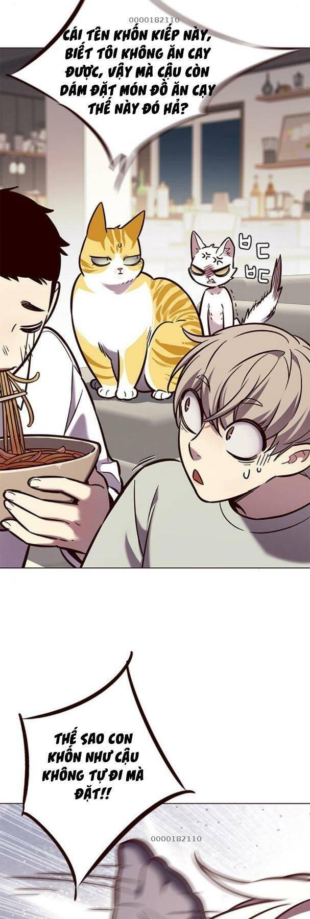 Hoá Thân Thành Mèo Chap 190 - Next Chap 191