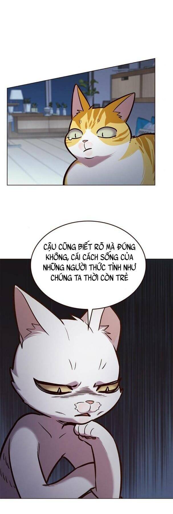 Hoá Thân Thành Mèo Chap 190 - Next Chap 191