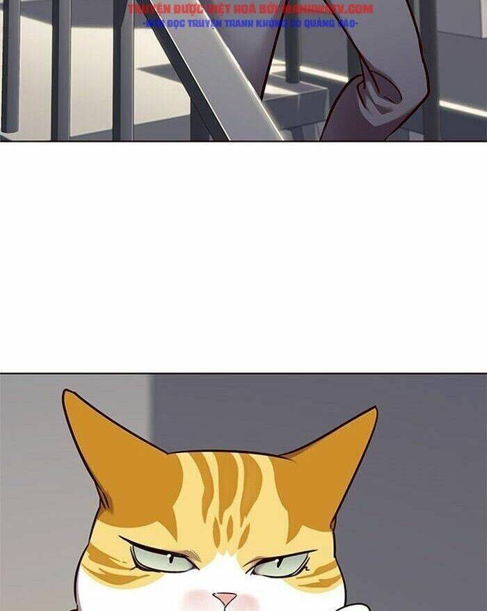 Hoá Thân Thành Mèo Chap 52 - Next Chap 53