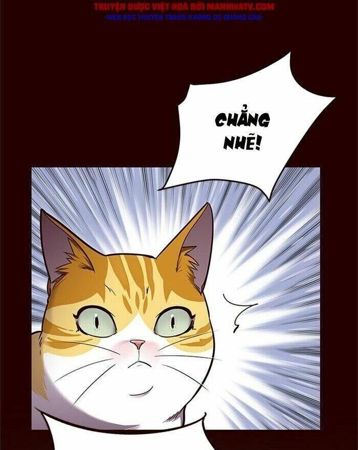 Hoá Thân Thành Mèo Chap 52 - Next Chap 53