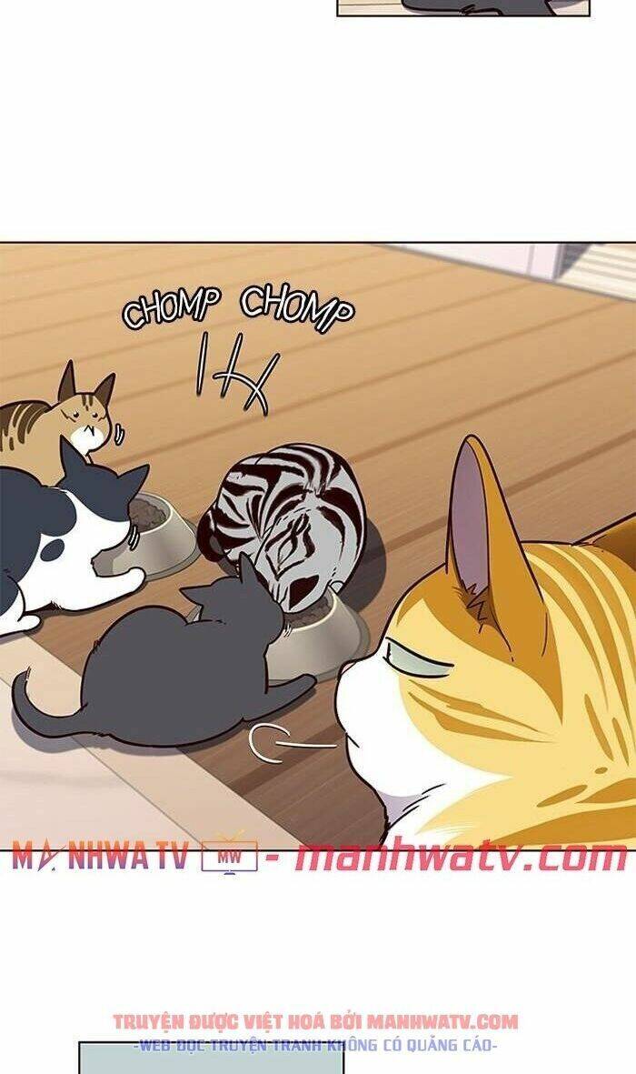 Hoá Thân Thành Mèo Chap 56 - Next Chap 57