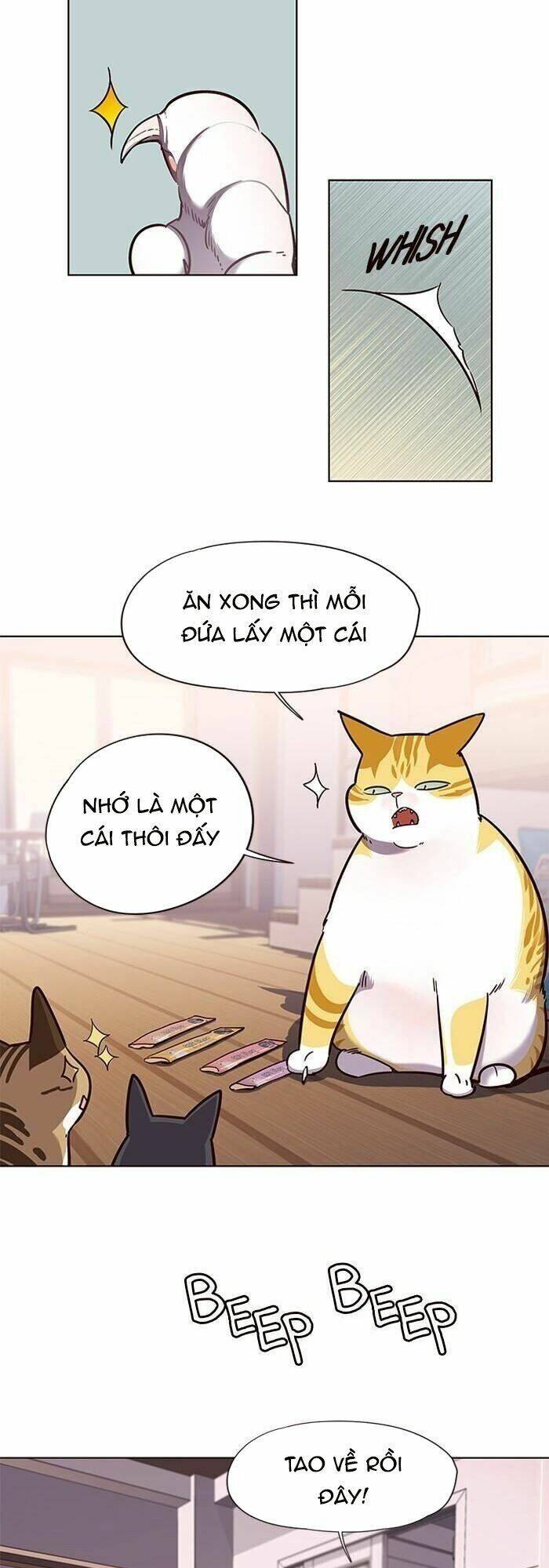 Hoá Thân Thành Mèo Chap 56 - Next Chap 57