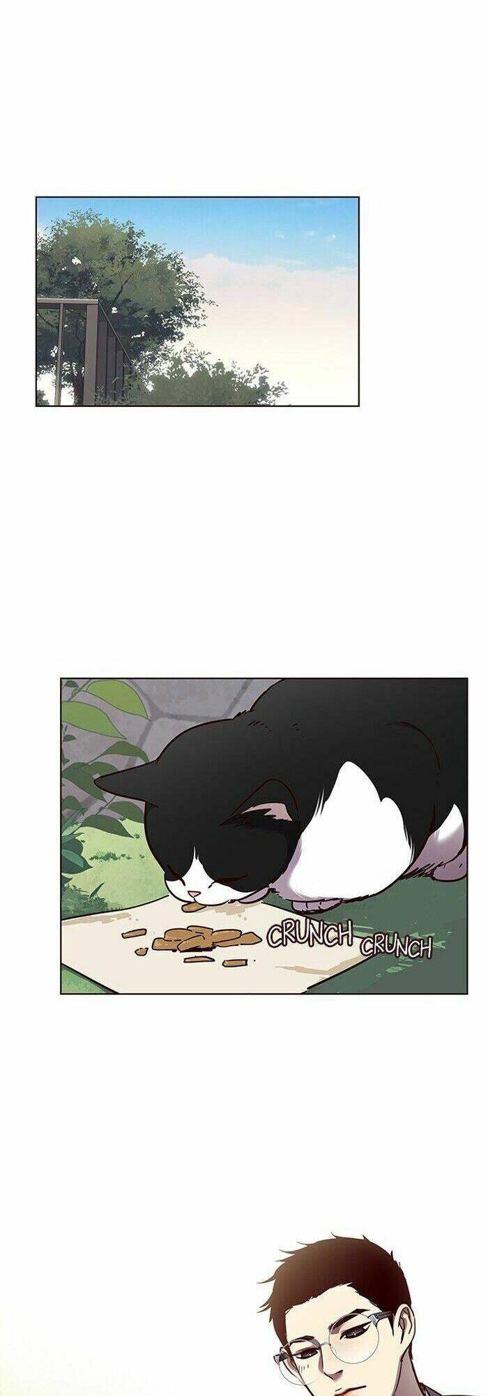 Hoá Thân Thành Mèo Chap 57 - Next Chap 58