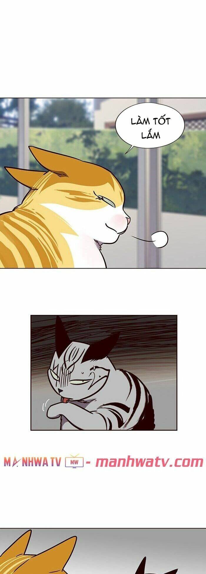 Hoá Thân Thành Mèo Chap 58 - Next Chap 59
