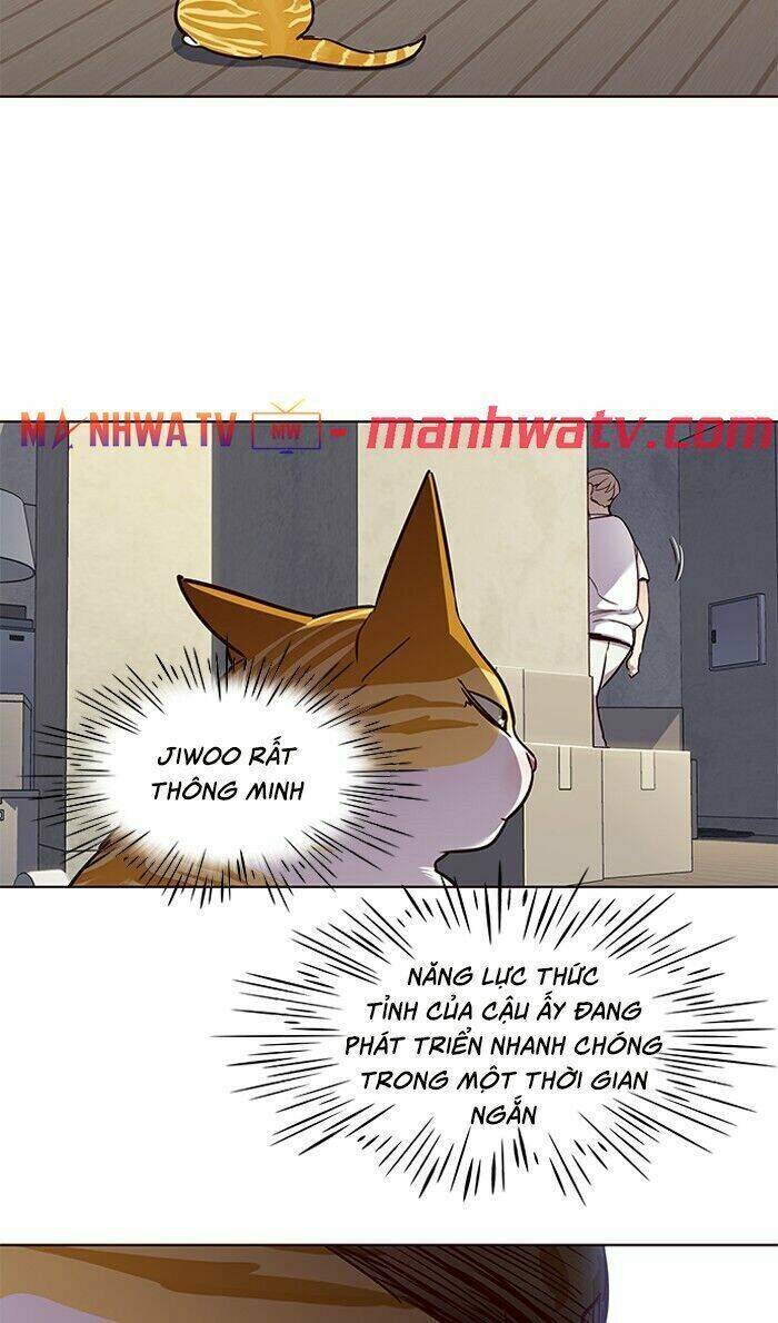 Hoá Thân Thành Mèo Chap 59 - Next Chap 60