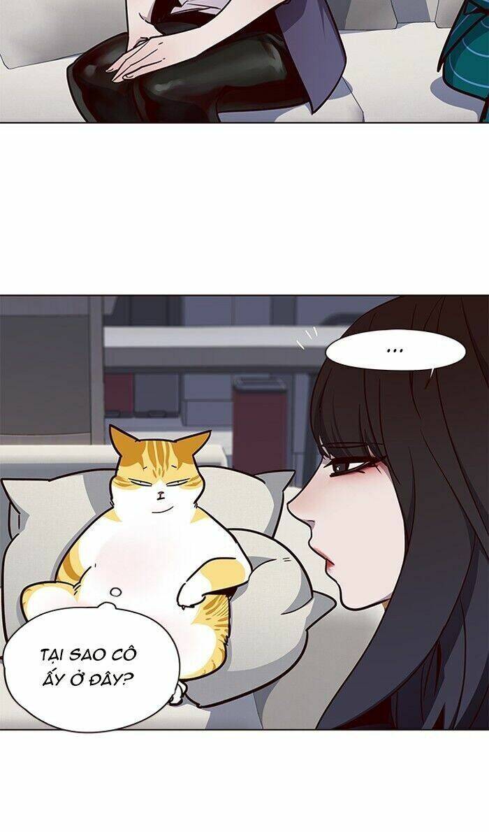 Hoá Thân Thành Mèo Chap 59 - Next Chap 60
