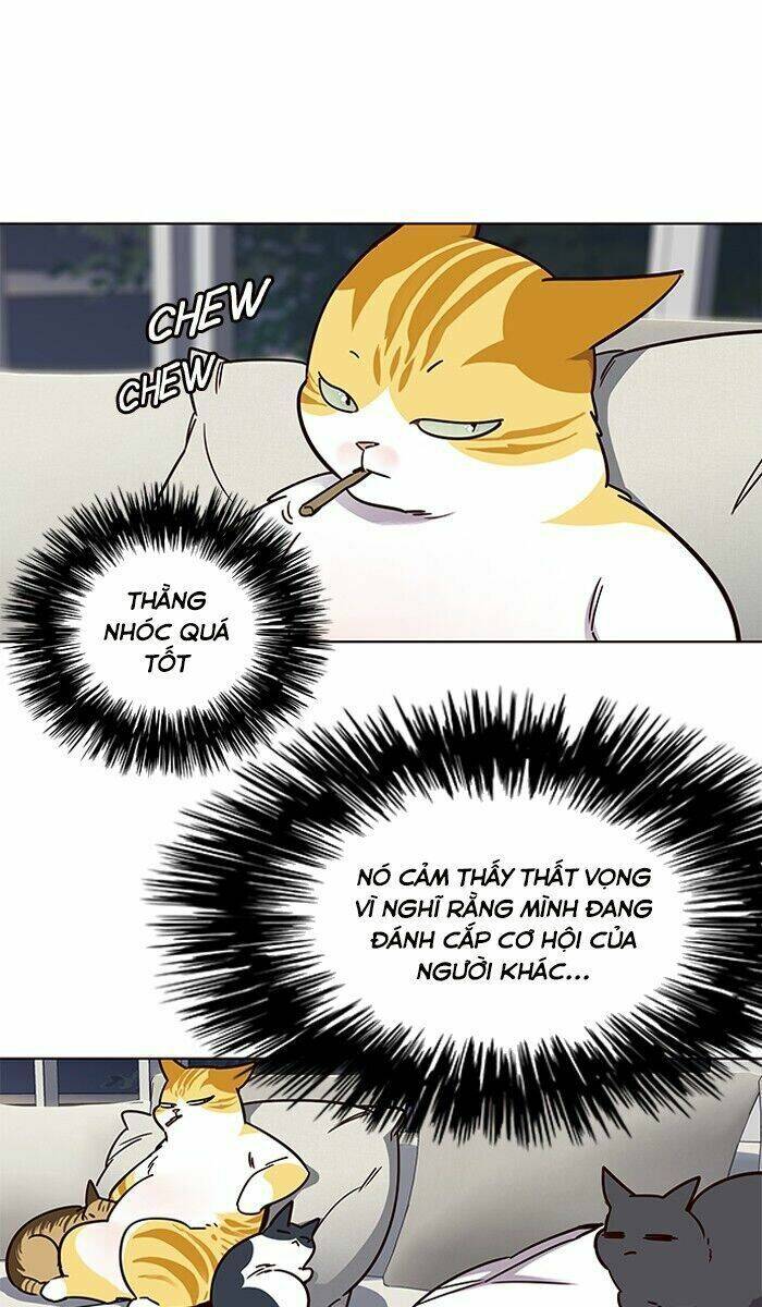 Hoá Thân Thành Mèo Chap 61 - Next Chap 62