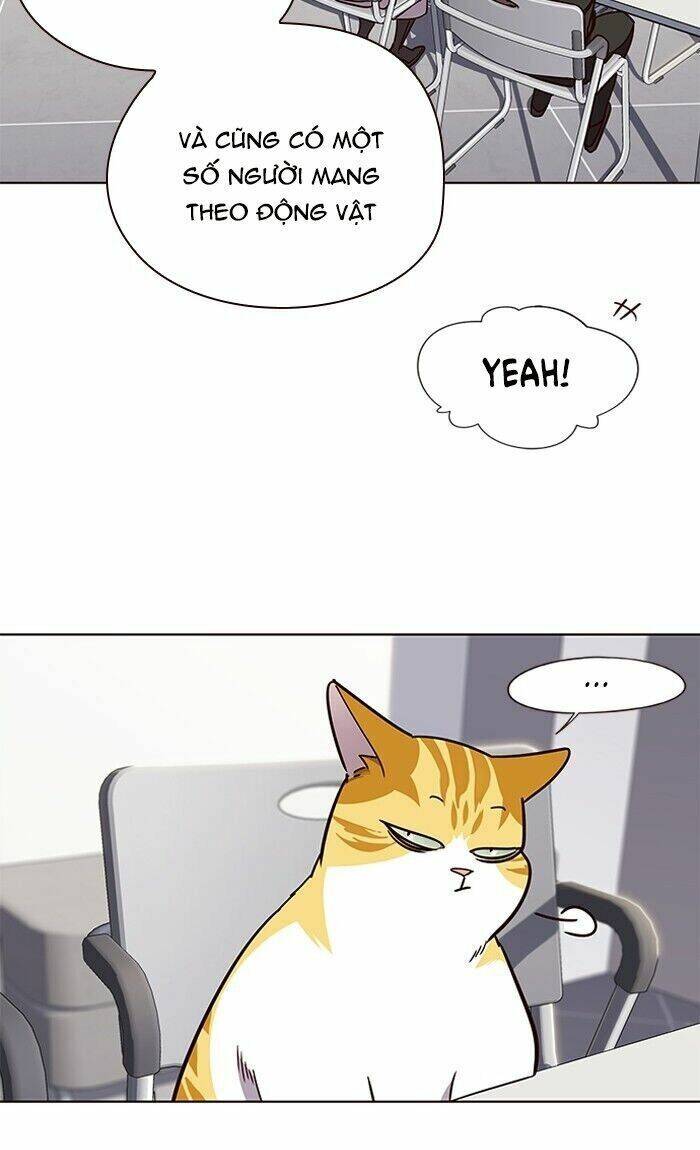 Hoá Thân Thành Mèo Chap 62 - Next Chap 63