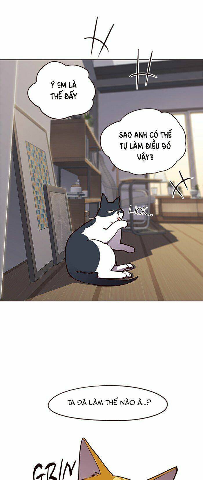 Hoá Thân Thành Mèo Chap 64 - Next Chap 65