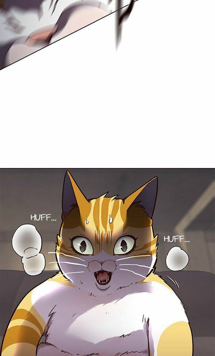 Hoá Thân Thành Mèo Chap 65 - Next Chap 66