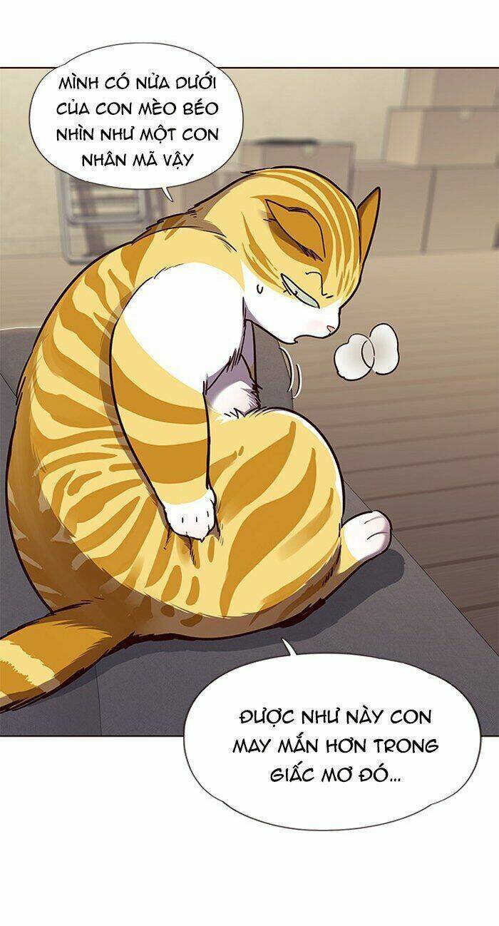 Hoá Thân Thành Mèo Chap 65 - Next Chap 66