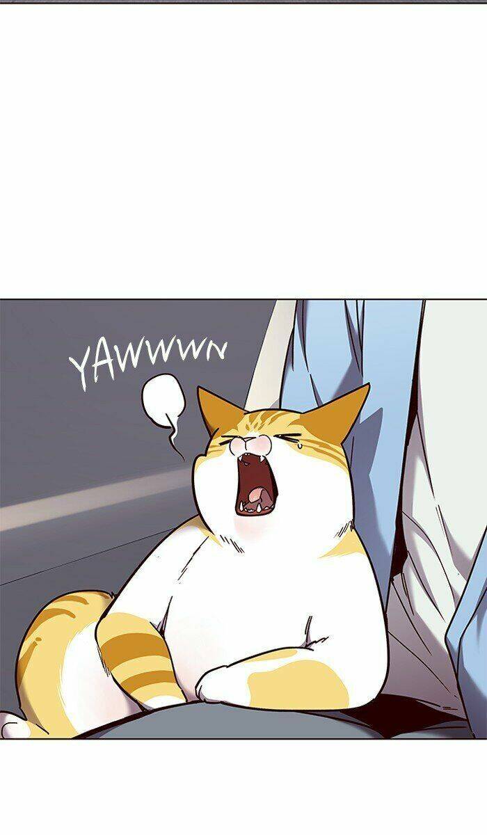 Hoá Thân Thành Mèo Chap 67 - Next Chap 68