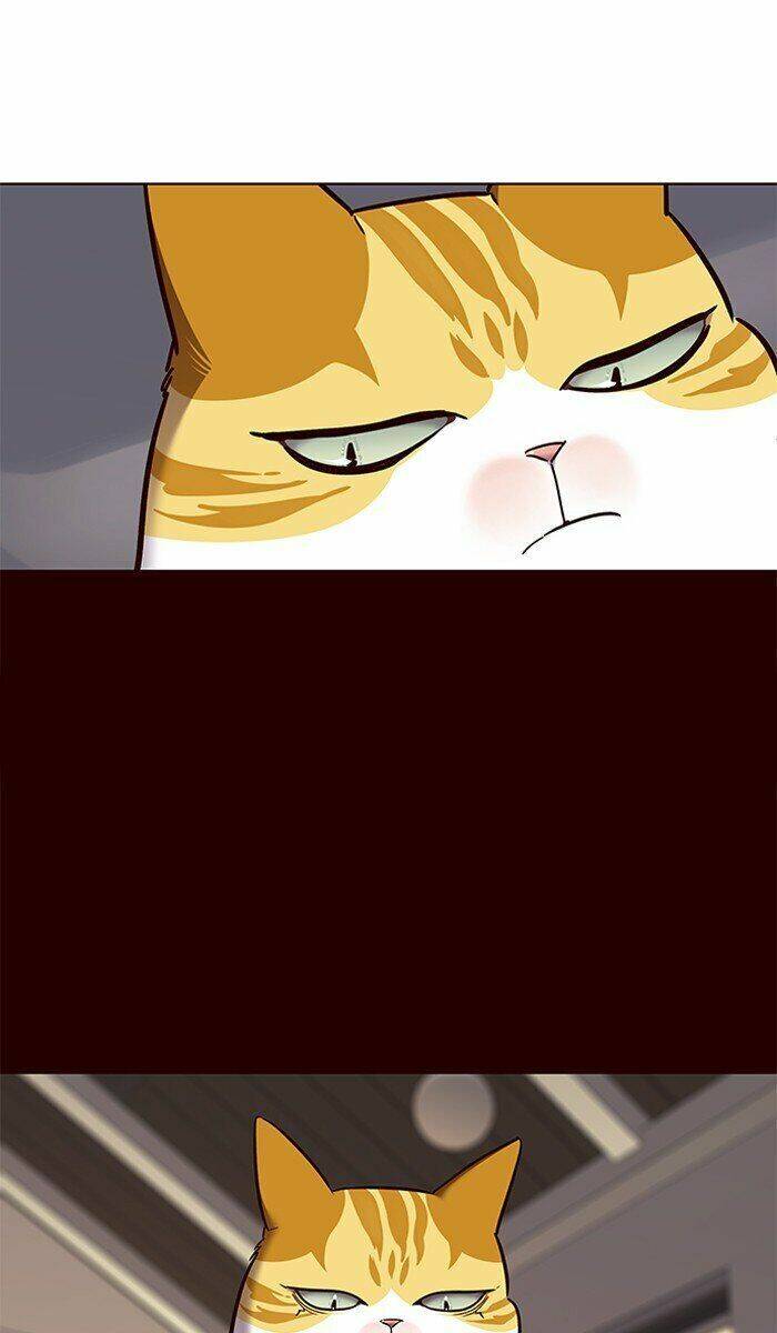 Hoá Thân Thành Mèo Chap 67 - Next Chap 68