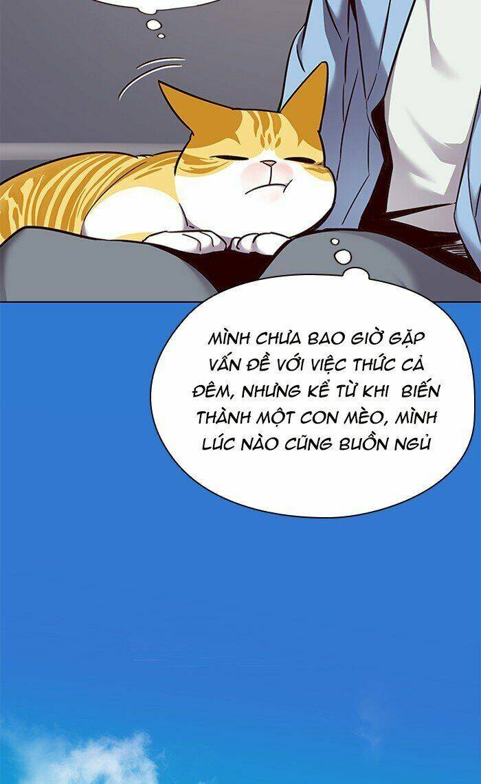 Hoá Thân Thành Mèo Chap 67 - Next Chap 68