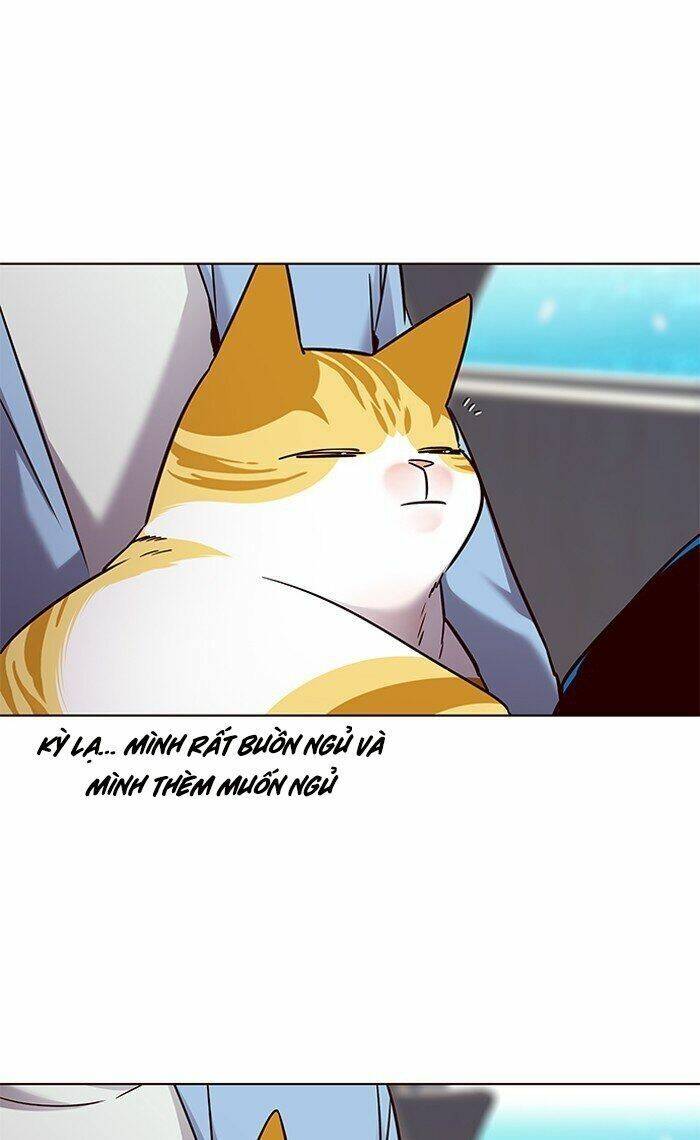 Hoá Thân Thành Mèo Chap 67 - Next Chap 68